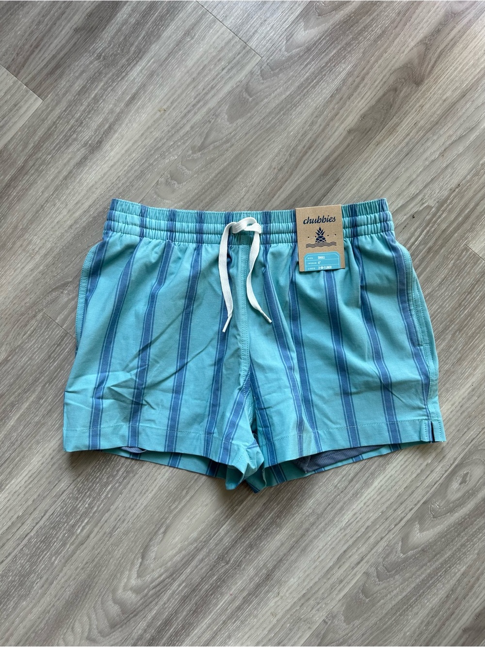 chubbies | 4" Lined Classic Swim Trunk in Aqua Blue Stripes (Small)